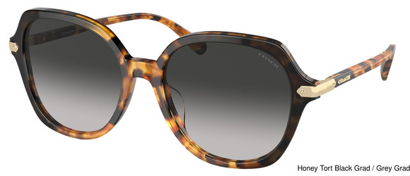 Coach Replacement Lenses 95353