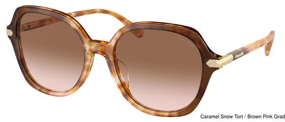 Sunglass Replacement Lenses 95355