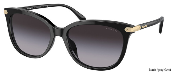 Coach Replacement Lenses 95357