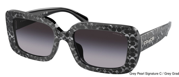 Coach Replacement Lenses 95373