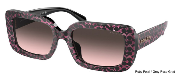 Coach Replacement Lenses 95375