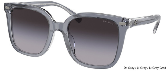 Coach Replacement Lenses 95377