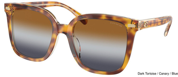 Coach Replacement Lenses 95378