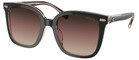 Coach Sunglasses HC8381U Cl918 5781E2