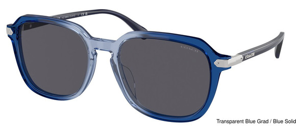 Coach Replacement Lenses 95391