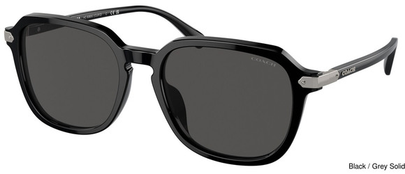 Coach Replacement Lenses 95392