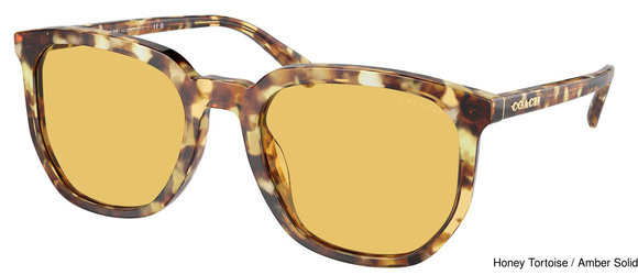 Coach Replacement Lenses 95399