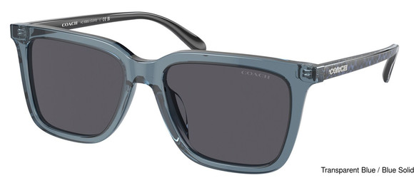 Coach Replacement Lenses 95400