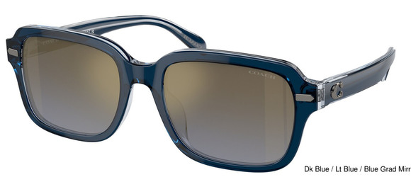 Coach Replacement Lenses 95406