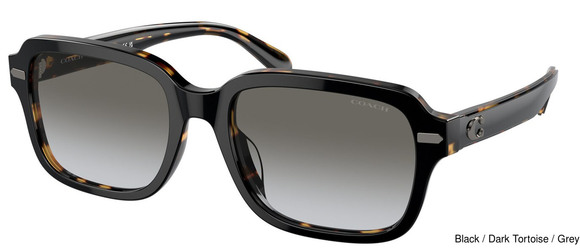 Coach Replacement Lenses 95407