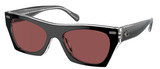 Coach Sunglasses HC8389U Cl917 572875