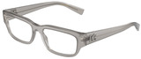 Dolce Gabbana Eyeglasses DG3381 3421