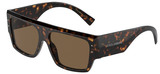 Dolce Gabbana Sunglasses DG4459 502/73