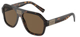 Dolce Gabbana Sunglasses DG4433 502/73