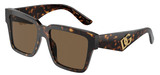 Dolce Gabbana Sunglasses DG4436 502/73