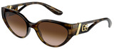 Dolce Gabbana Sunglasses DG6146 502/13