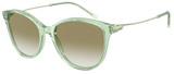 Emporio Armani Sunglasses EA4220 61078E