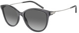 Emporio Armani Sunglasses EA4220 610611
