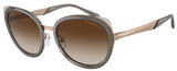 Emporio Armani Sunglasses EA2146 336113