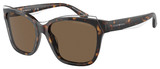 Emporio Armani Sunglasses EA4209F 605273
