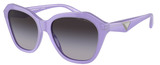 Emporio Armani Sunglasses EA4221 61178G
