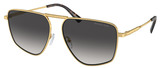 Michael Kors Sunglasses MK1153 Silverton 18968G