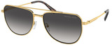 Michael Kors Sunglasses MK1155 Whistler 18968G