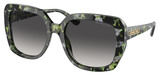 Michael Kors Sunglasses MK2140 Manhasset 39478G