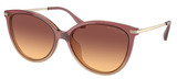 Michael Kors Sunglasses MK2184U Dupont 325678