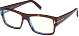 Tom Ford Eyeglasses FT5941-B 052