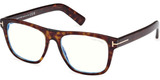 Tom Ford Eyeglasses FT5902-B 052