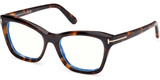 Tom Ford Eyeglasses FT5909-B 052