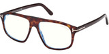 Tom Ford Eyeglasses FT5901-B 052