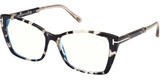 Tom Ford Eyeglasses FT5893-B 005