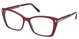 Tom Ford Eyeglasses FT5893-B 069