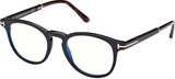 Tom Ford Eyeglasses FT5891-B 005