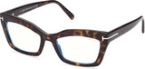 Tom Ford Eyeglasses FT5766-B 052