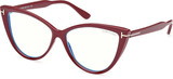 Tom Ford Eyeglasses FT5843-B 074
