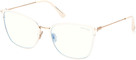 Tom Ford Eyeglasses FT5839-B 025
