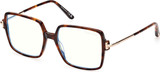 Tom Ford Eyeglasses FT5915-B 052