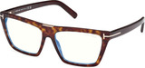 Tom Ford Eyeglasses FT5912-B 052