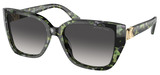 Michael Kors Sunglasses MK2199 Acadia 39538G