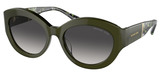 Michael Kors Sunglasses MK2204U Brussels 39478G