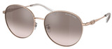 Michael Kors Sunglasses MK1119 Alpine 11088Z
