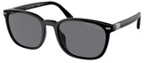 (Polo) Ralph Lauren Sunglasses PH4208U 500181