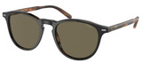 (Polo) Ralph Lauren Sunglasses PH4181F 5260/3