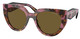 Tortoise Cognac Begonia / Dark Brown