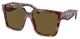 Tortoise Cognac Begonia / Dark Brown