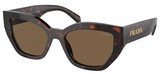 Briar Tortoise / Dark Brown