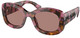 Tortoise Cognac Begonia / Light Brow